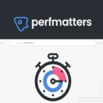 Perfmatters Pro