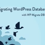 WP Migrate DB Pro