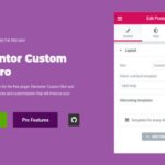 Elementor Custom Skin Pro