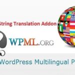 WPML String Translation Addon Pro