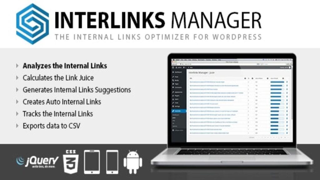 Interlinks Manager Pro