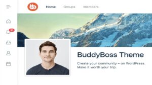 Descargar BuddyBoss Theme Pro Plugins-Wp