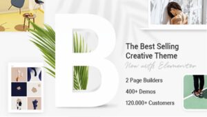 Descargar Bridge Theme Pro Plugins-Wp