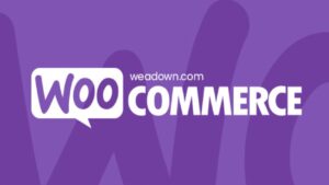 Descargar WooCommerce Measurement Price Calculator Pro Plugins-Wp