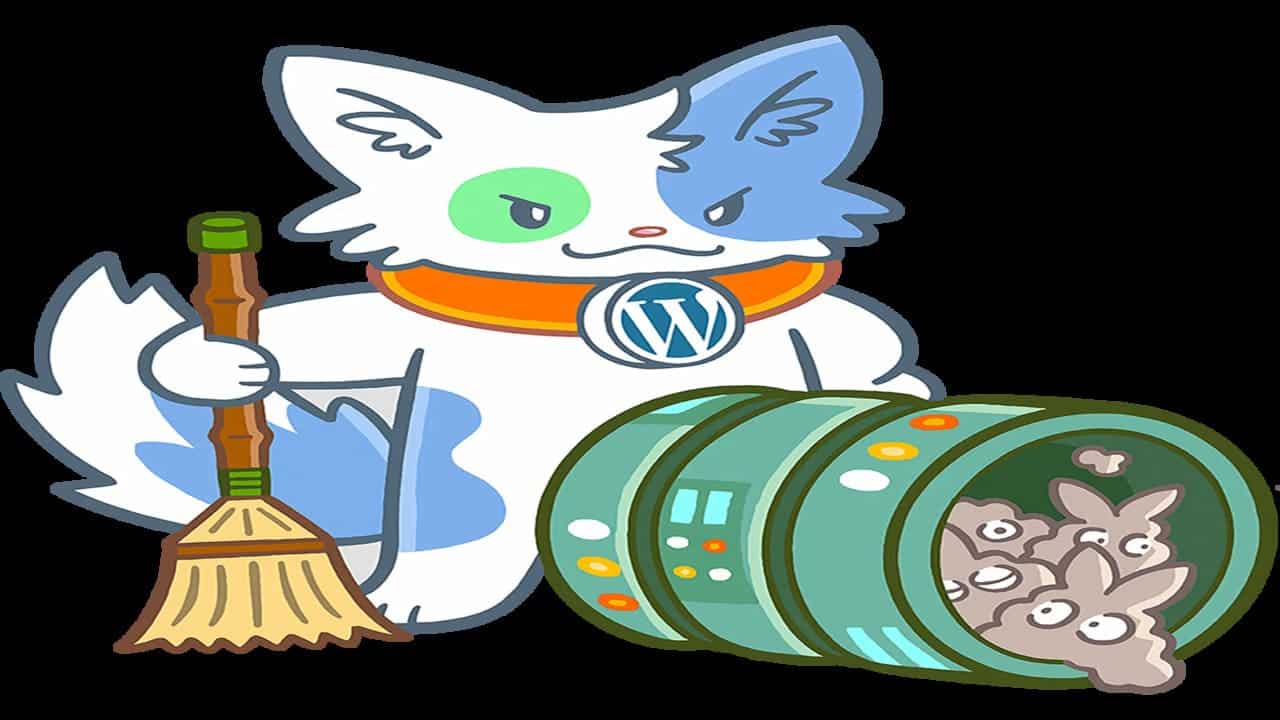 Database Cleaner PLugins-Wp