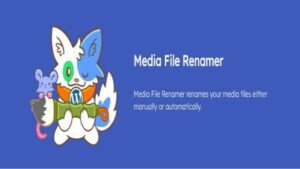 Media File Renamer Pro PlugiNS-WP