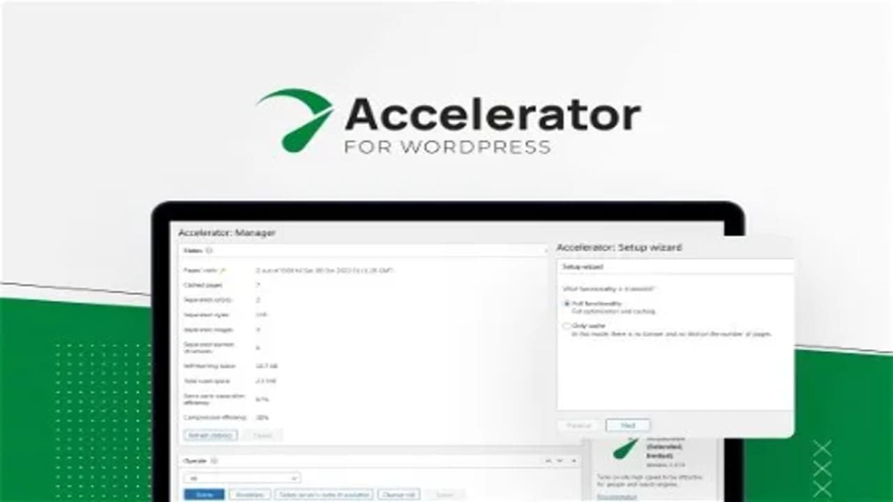 Descargar Seraphinite Accelerator Plugins-Wp