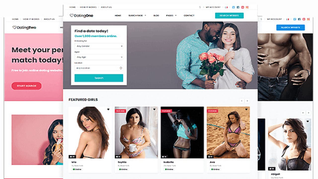 Descargar Premium Press Dating Theme Plugins-Wp
