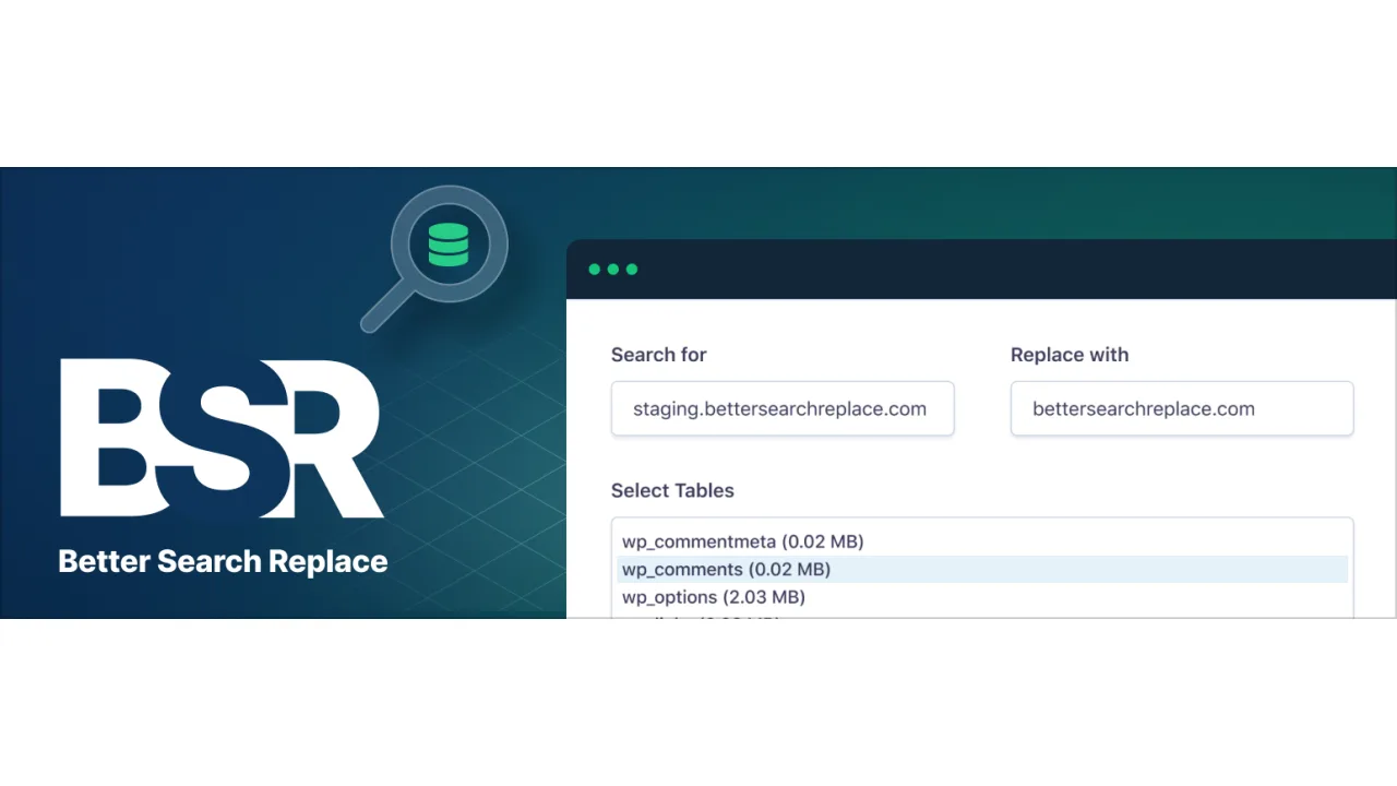 Better Search Replace Pro — busqueda y reemplazo en WordPress